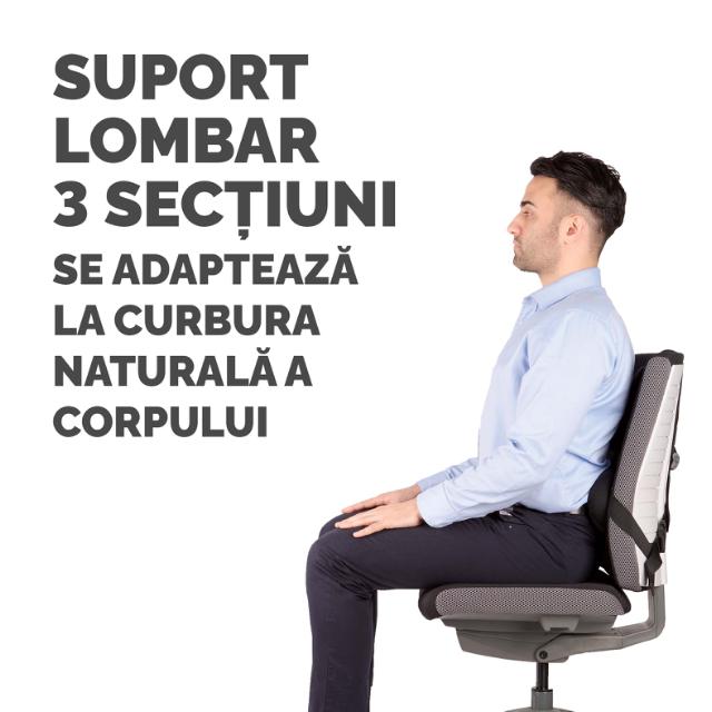 Suport ergonomic spate Fellowes, cu 3 perne ProfSeriesUltimate